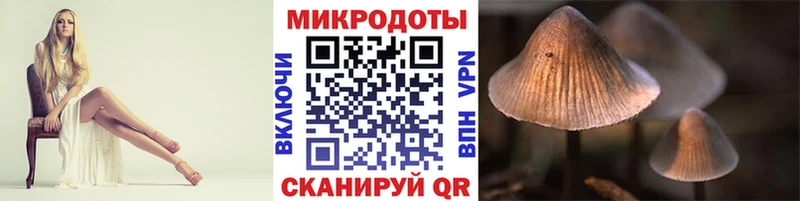 Псилоцибиновые грибы ЛСД  купить наркотики сайты  Иваново 